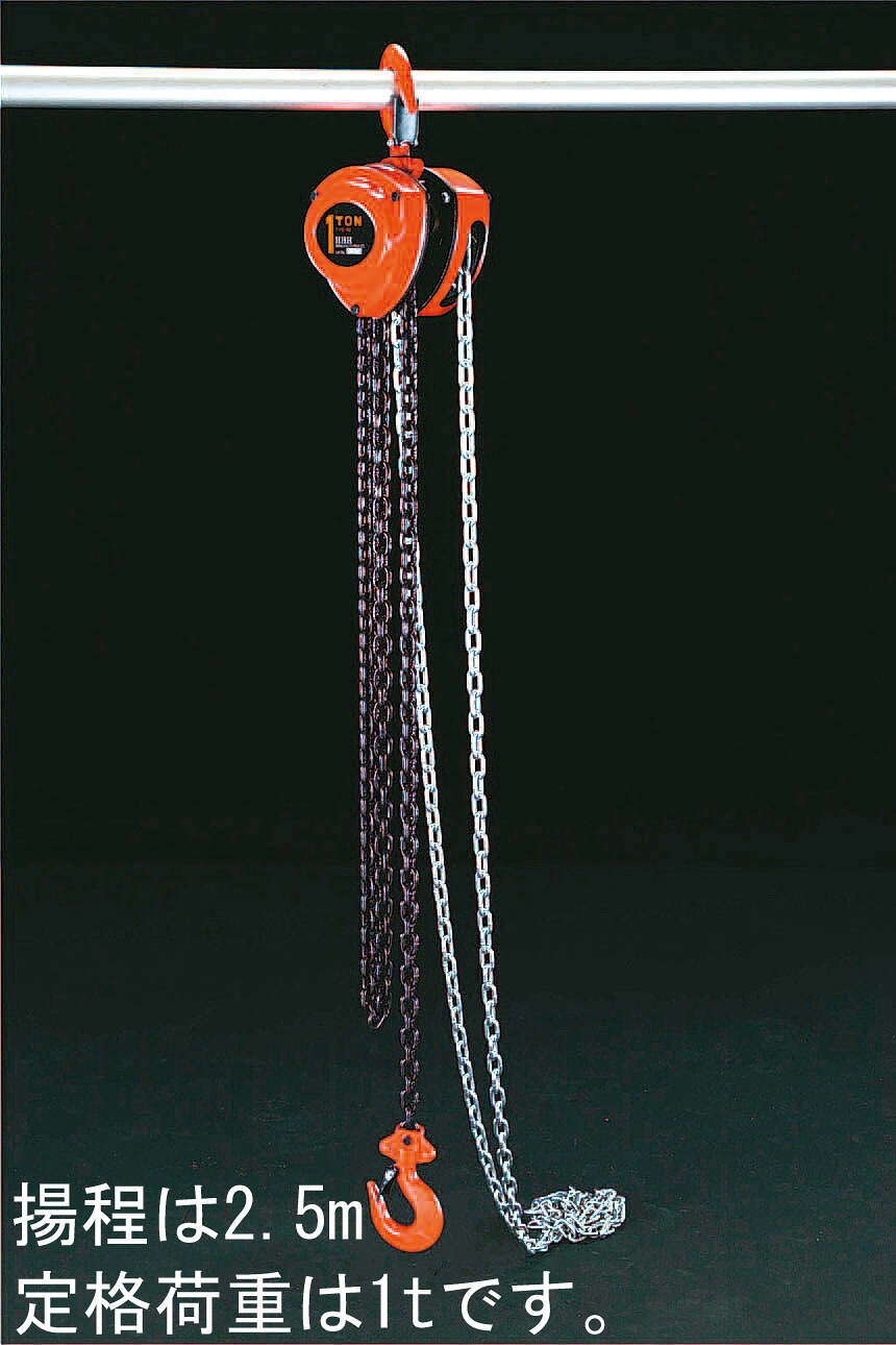 【メーカー在庫あり】 エスコ ESCO 1.0 tonx2.5m チェーンブロック 000012010135 HD店｜ヒロチー商事 ハーレー 店