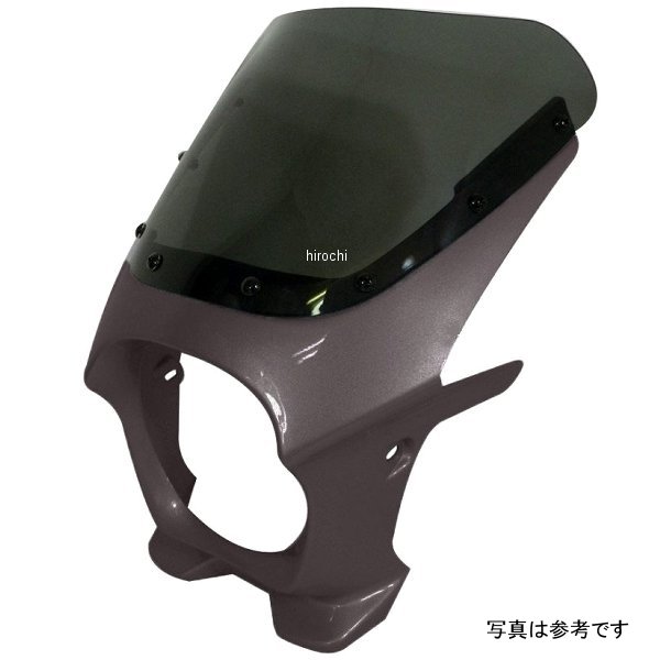 ワールドウォーク 汎用ビキニカウル AERO ギャラクシーシルバーメタリック/スモーク ds-01aero-24 HD店 22,705円