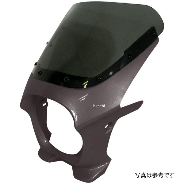 ワールドウォーク 汎用ビキニカウルR ギャラクシーシルバーメタリック/クリア ds-01r-24 HD店｜ヒロチー商事 ハーレー 店