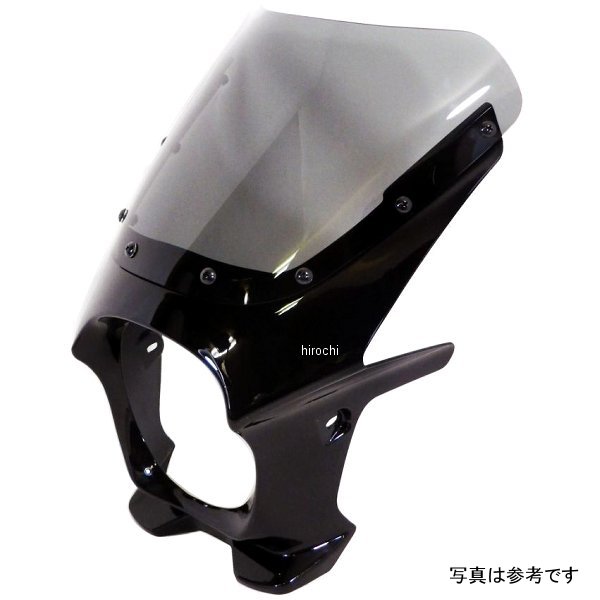 ワールドウォーク 汎用ビキニカウルR パールメテオグレー/スモーク ds-01r-8 HD店｜ヒロチー商事 ハーレー 店