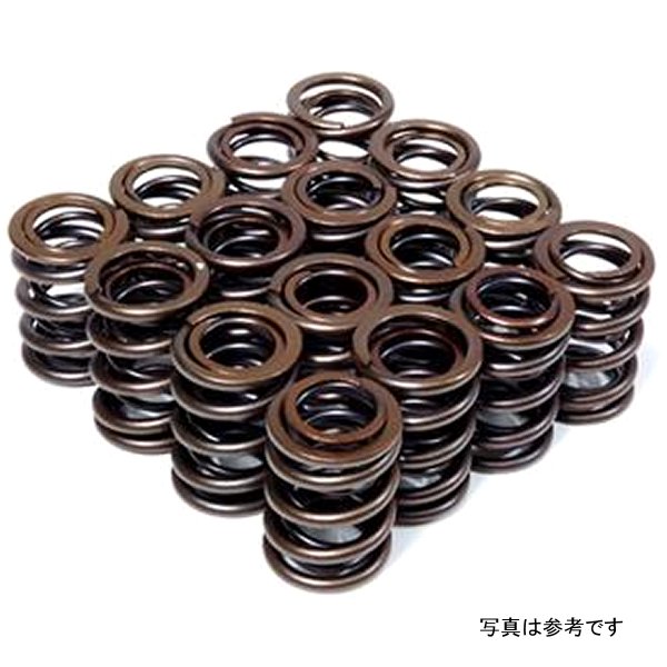 【USA在庫あり】 BLOX Racing Dual バルブ スプリング for K20A2-3 Z1-3 (2.0L DOHC i-VTEC) / K24A-3 (2.4L DOHC i-VTEC) bloBXPT-10301 HD店