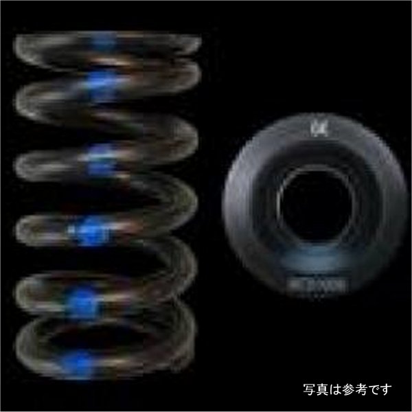【USA在庫あり】 Brian Crower ミツビシ 4G63/EVO 8/9 Single Spring & Steel リテーナーキット brcBC0100S HD店 30,214円
