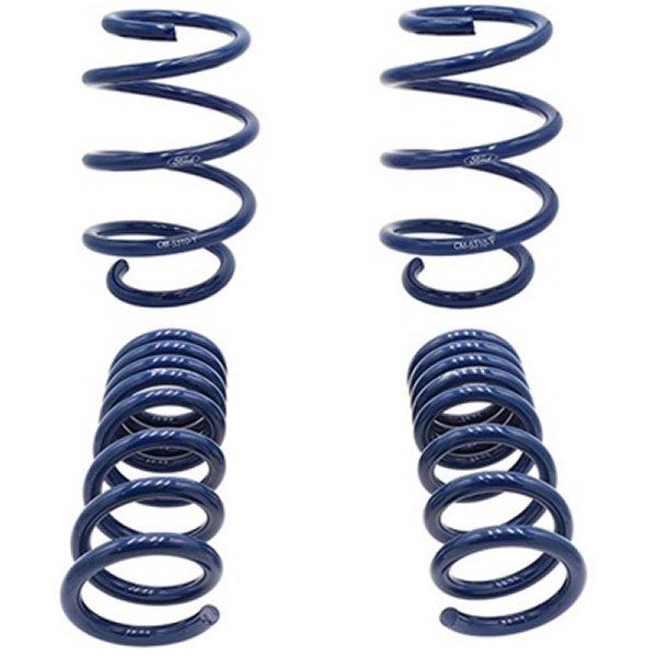 【USA在庫あり】 フォード Racing 2015-2017 Mustang GT350 Lowering スプリング frpM-5300-W HD店