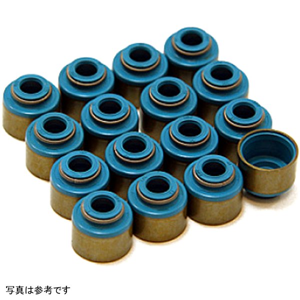 【USA在庫あり】 GSC P-D ニッサン VQ35DE Viton 5.5mm Valve Stem Seal Set gsc1050 HD店