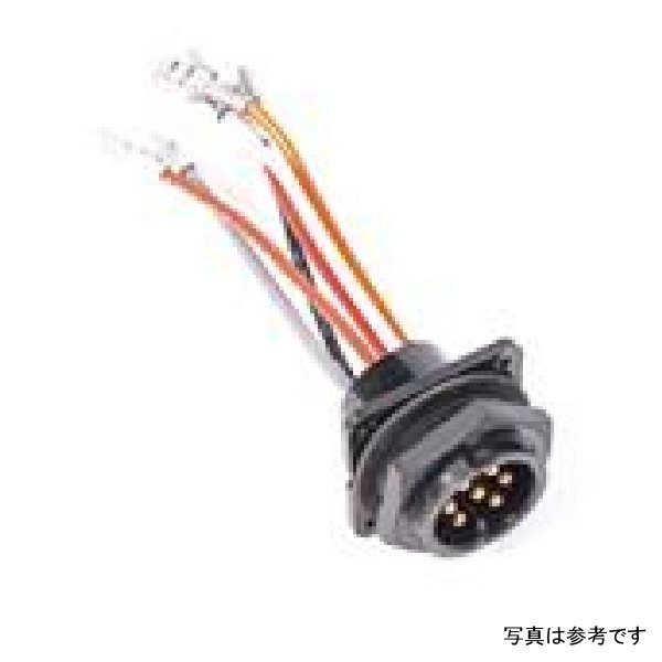 【USA在庫あり】 Radium Engineering Bulkead Harness Internal Triple Walbro F90000262 Pump rad17-0028 HD店
