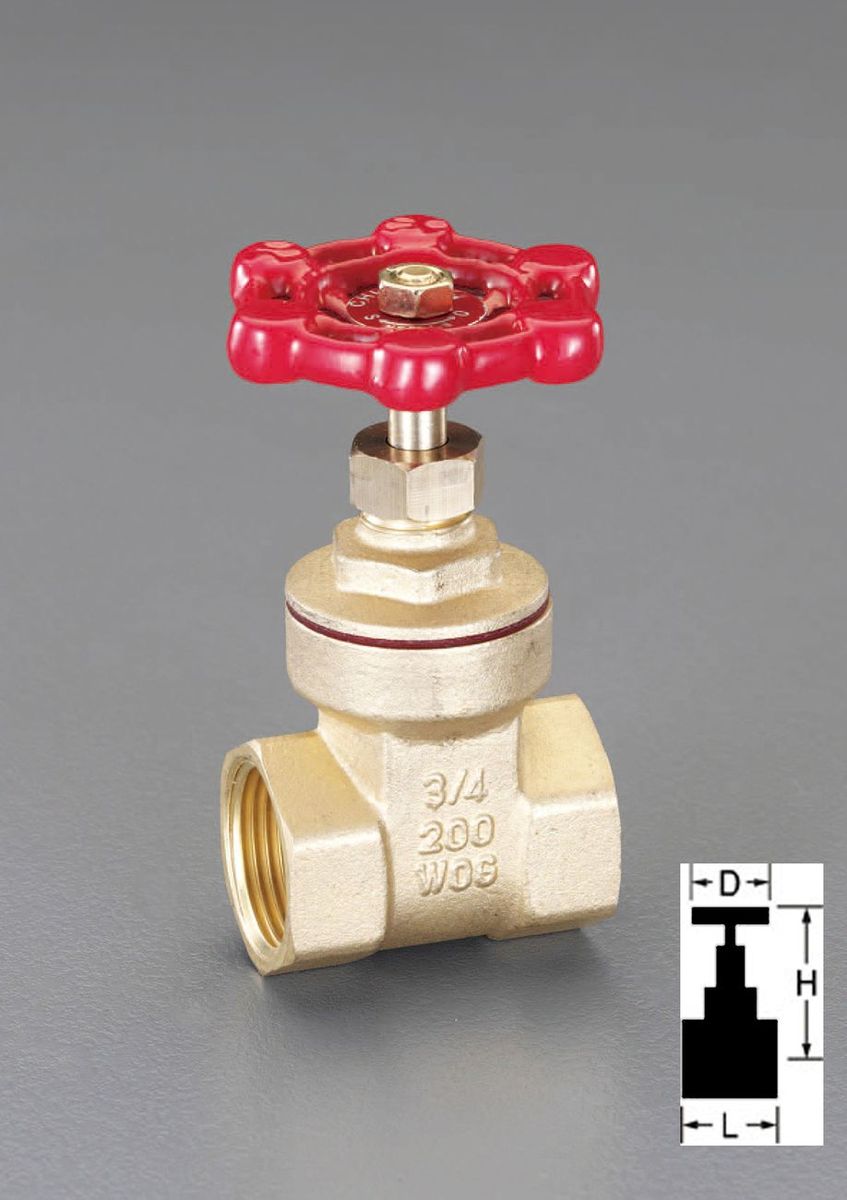 【製造業者店卸し資産あり】 エスコ ESCO NPT 1\" 論理ゲート弁膜(金管楽器製) 000012225250 固定ディスク"