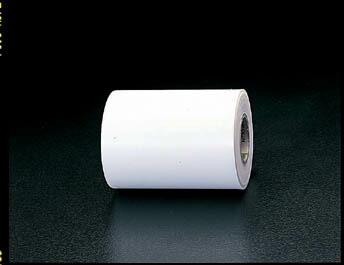 【メーカー在庫あり】 エスコ ESCO 300x0.10mm/10m フッ素樹脂フィルム 000012060087 HD店