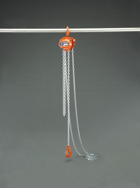 【メーカー在庫あり】 1.0tonx8.0m チェーンブロック 000012297646 HD店