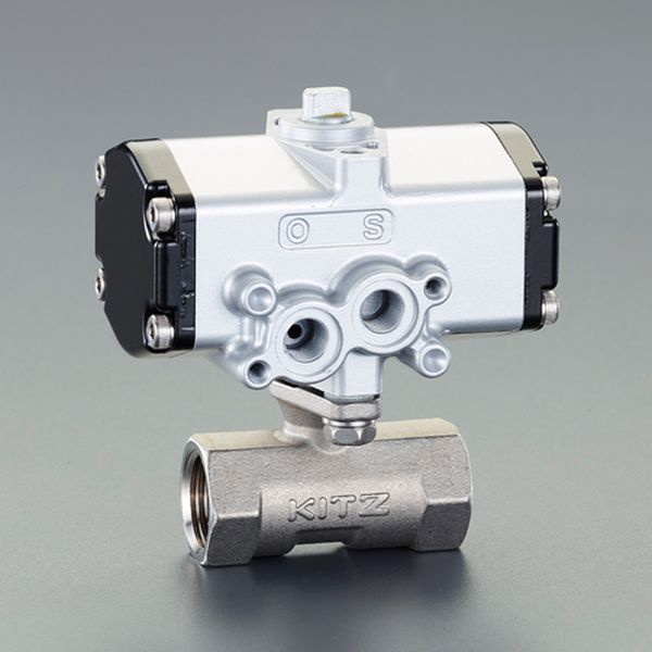 【メーカー在庫あり】 エスコ ESCO Rc 3/8\