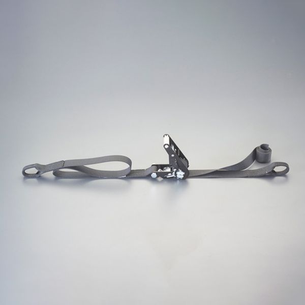 【メーカー在庫あり】 エスコ ESCO 35mmx 5.0m/ 509kg ベルト荷締機(両端アイ型) 000012345382 HD店