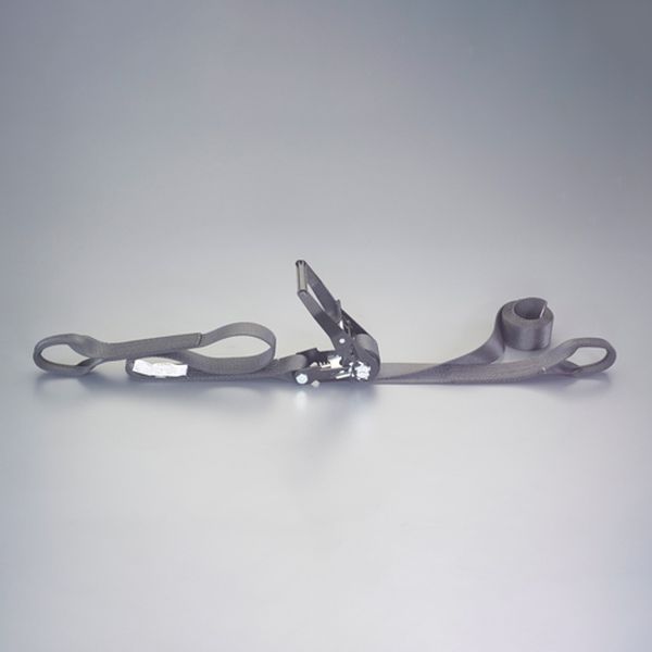 【メーカー在庫あり】 エスコ ESCO 50mmx 6.0m/1010kg ベルト荷締機(両端アイ型) 000012345393 HD店