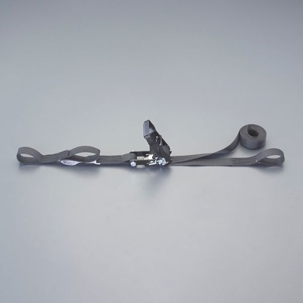 【メーカー在庫あり】 エスコ ESCO 25mmx 6.0m/ 254kg ベルト荷締機(両端アイ型) 000012345399 HD店