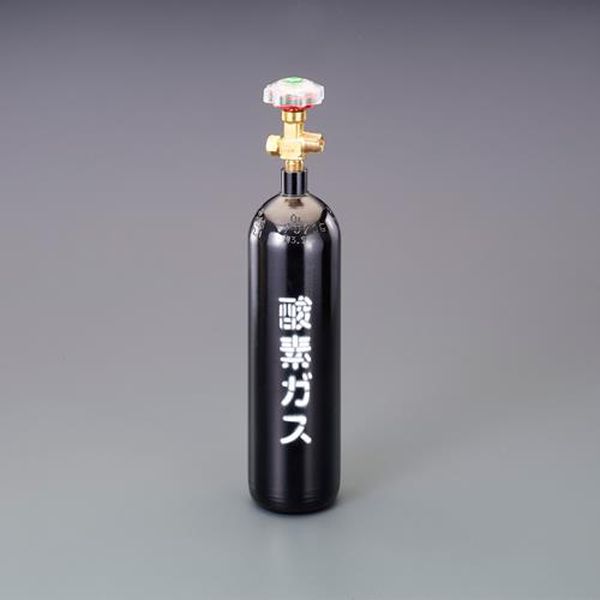 【メーカー在庫あり】 エスコ ESCO 2L 酸素用空ボンベ EA300-41A HD店