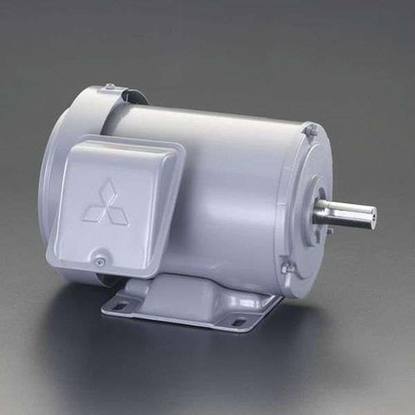【メーカー在庫あり】 エスコ ESCO AC200V・0.2 kw 三相モーター (全閉外扇・屋内形) EA968BA-2A HD店｜ヒロチー商事 ハーレー 店