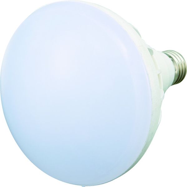 【メーカー在庫あり】 RTL20W トラスコ中山(株) TRUSCO LED投光器用 20W LED球 RTL-20W HD店
