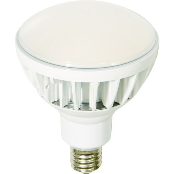 【メーカー在庫あり】 L50V2J110W50K 日動工業(株) 日動 LED交換球 ハイスペックエコビック50W E39 本体白 L50V2-J110W-50K HD店｜ヒロチー商事 ハーレー 店