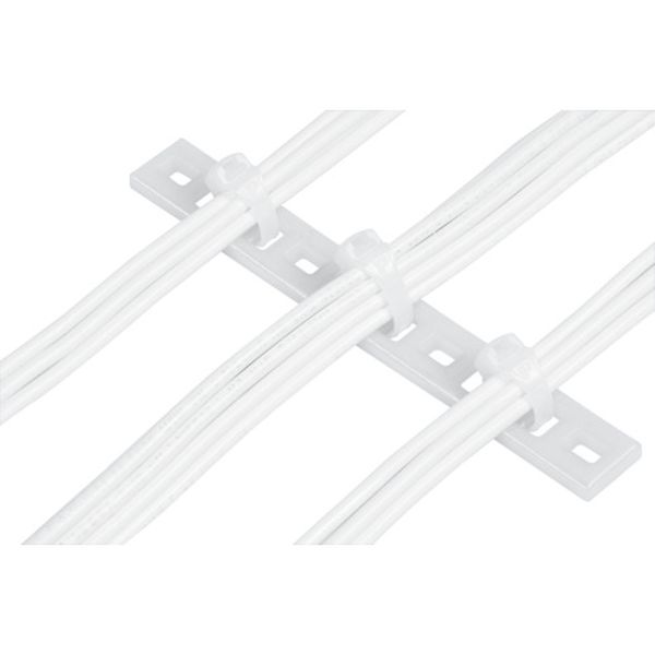 【メーカー在庫あり】 MTP6HE10C 固定具 マルチタイプレート(100個入)横243.6固定M5ねじ MTP6H-E10-C HD店｜ヒロチー商事 ハーレー 店