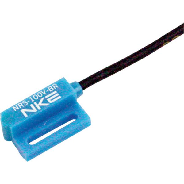【メーカー在庫あり】 RS2CH10X NKE(株) NKE 位置検出スイッチ CH10X用 2個入り RS2-CH10X HD店｜ヒロチー商事 ハーレー 店