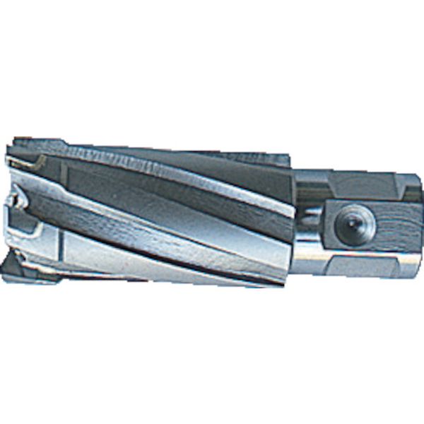 【メーカー在庫あり】 大見工業(株) 大見 35SQクリンキーカッター 刃径30.0mm CCSQ300 HD店