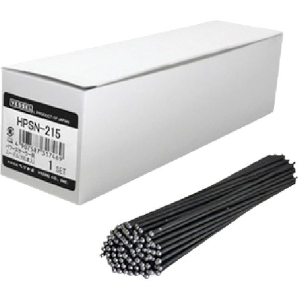 【メーカー在庫あり】 HPSN215 (株)ベッセル ベッセル パワースケーラー用ニードル(Φ2mm×150 100本)GT-HPS160用 HPSN-215 HD店
