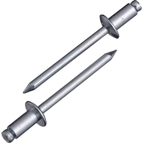 【メーカー在庫あり】 (株)ロブテックス エビ ブラインドリベット(スティール/スティール製) 8-8(100本入) エコBOX NS88EB HD店