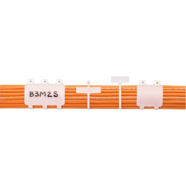 【メーカー在庫あり】 BM2MM ステンレス爪ロック式結束バンド(巻き付け表示タイプ) 2.4×201×1.2 1袋1000本入 BM2M-M HD店 28,138円