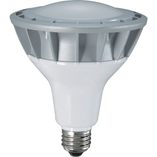 【メーカー在庫あり】 LDR20NH110 (株)ハタヤリミテッド ハタヤ LED作業灯 20W交換球昼白色広角タイプ LDR20N-H110 HD店
