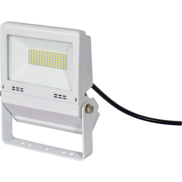 【メーカー在庫あり】 LJSFH30DW50K 日動工業(株) 日動 LED投光器 常設用フラットライト30W 白 LJS-FH30D-W-50K HD店