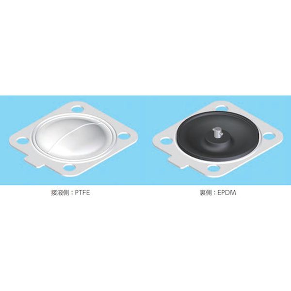 【メーカー在庫あり】 BNW50PE BNWシリーズダイヤフラム単体 標準ダイヤフラム(PTFE/EPDM)50A(2S) BNW-50PE HD店