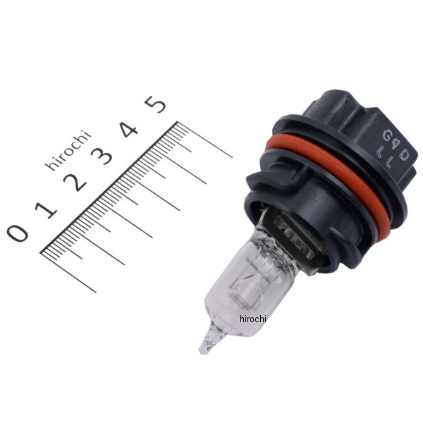 ヘア 34901-gbl-872.jpg