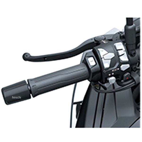 24316円 お気に入り カワサキ純正 グリップヒーター 21年 ZH2SE 99994-1667 JP店