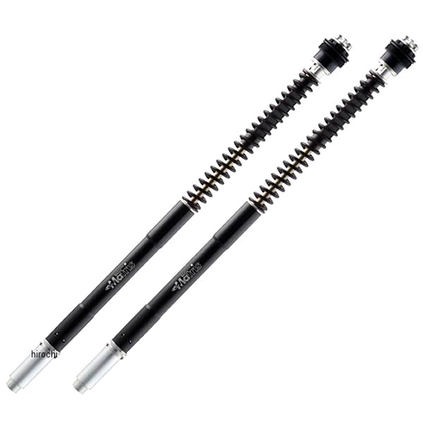マトリス MATRIS カートリッジキット F25R 15年-19年 BMW R1250R、R1200R F25B315R JP店