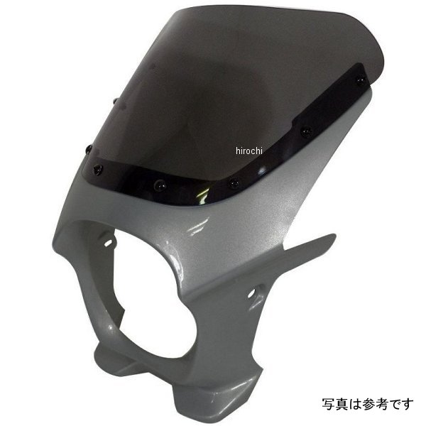ワールドウォーク 汎用ビキニカウル AERO フロストシルバー/スモーク ds-01aero-y7 JP店｜株式会社ヒロチー商事 店