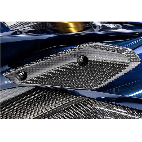 ワンダーリッヒ Wunderlich カーボン サイドウイングレット 左側 19年以降 BMW R1250RS W45203-300 JP店｜株式会社ヒロチー商事 店