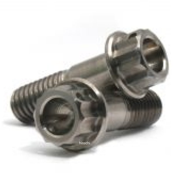 ゲイルスピード GALE SPEED リペア ブリッジボルトSET チタン (フロントキャリパー2ピストン/リアキャリパー 共通) 29300107 JP店