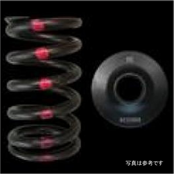 【USA在庫あり】 Brian Crower ニッサン SR20DE/DET Single Spring & Steel リテーナーキット brcBC0200S JP店 30,214円