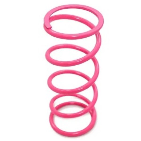 【USA在庫あり】 Dynojet 22年-24年 Can-Am Maverick X3 Primary Clutch スプリング - Hot Pink dojDCS-5CP JP店