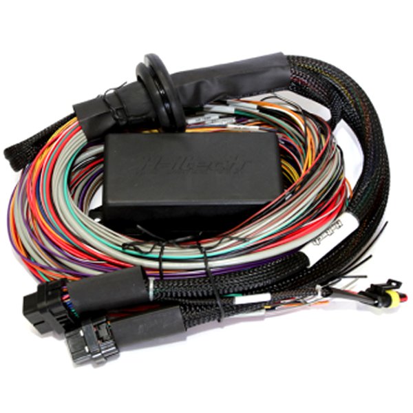 【USA在庫あり】 Haltech Elite 2500 & 2500 T 8ft Premium Universal Wire-In Harness halHT-141304 JP店