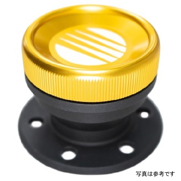 【USA在庫あり】 Fuelab ダイレクト燃料フィラーキット キャップ??付き flb63711 JP店