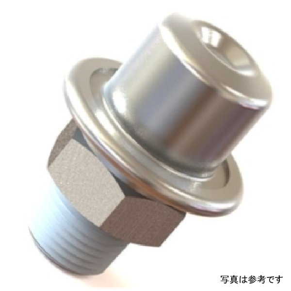 【USA在庫あり】 Radium Engineering フューエル Pulse ダンパー rad14-0128 JP店