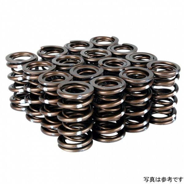 【USA在庫あり】 Skunk2 Pro Series Honda/Acura K-Series i-VTEC XP バルブスプリング Set (Dual Springs) skk311-05-7380 JP店