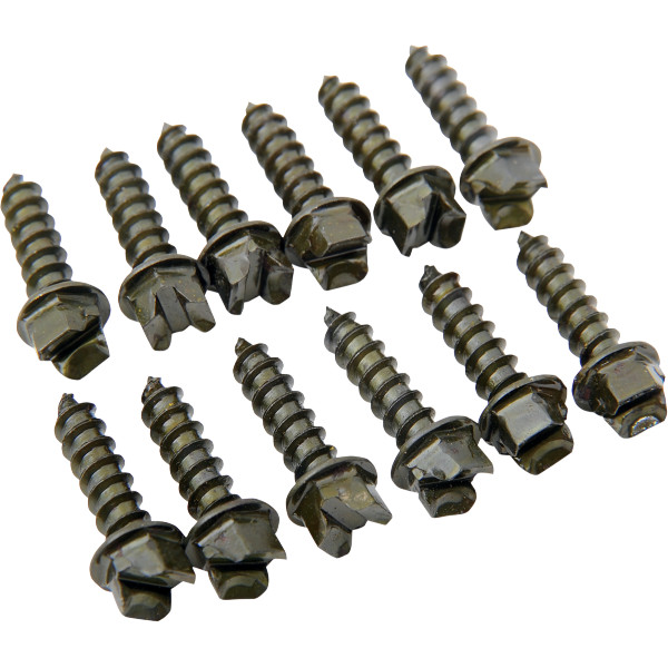 【USA在庫あり】 ゴールドスクリュー Gold Screws アイススクリュー 粗ネジ 5/8インチ Pro-ゴールド (1000個入り) 1250-0300 JP店|株式会社ヒロチー商事 店