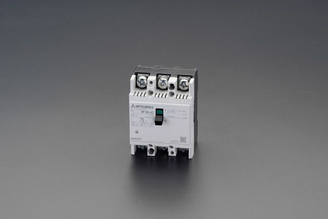 【メーカー在庫あり】 エスコ ESCO AC220V/100A ノーヒューズ遮断器 000012008638 JP店