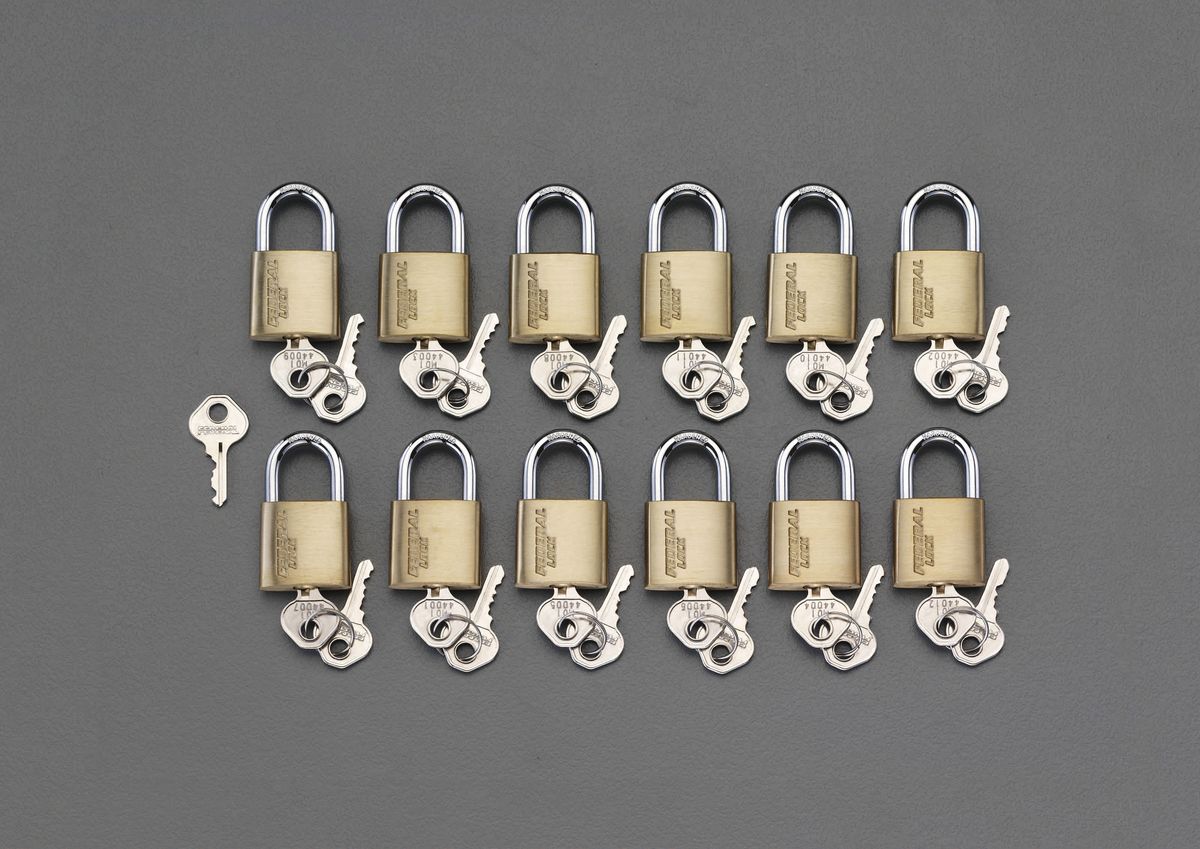 【メーカー在庫あり】 エスコ ESCO 20mm 南京錠 マスターキー付/12個組 000012233004 JP店