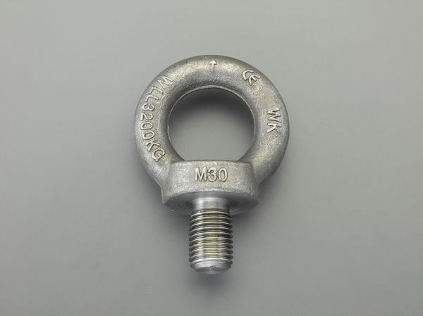 【メーカー在庫あり】 M42x 63mm アイボルト(炭素鋼製) 000012295312 JP店
