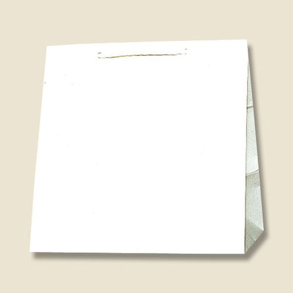 【製造業者店卸し資産あり】 エスコ ESCO 300x210x310粍 紙袋(白無地/50枚) 000012340801 JP店 生活雑貨-日用品雑貨・文房具・手芸-その他