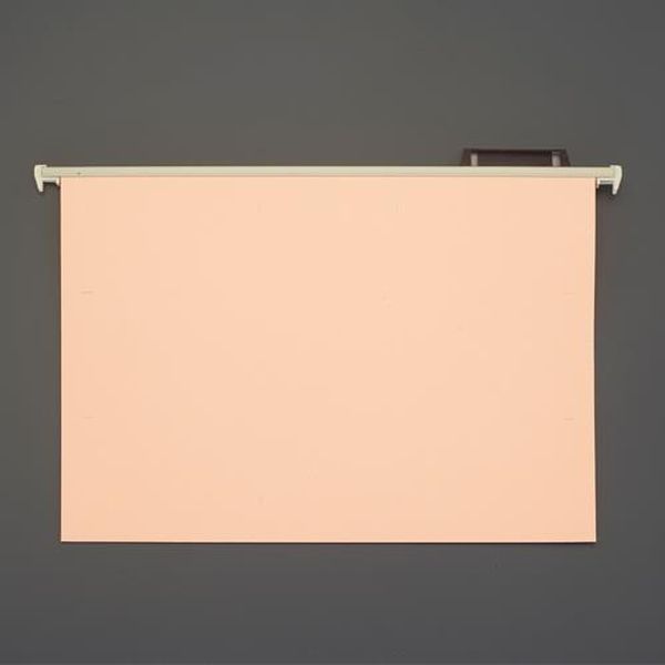 【製造業者店卸し資産あり】 エスコ ESCO A3／310x435粍 ハンガーフォルダー（20冊） EA762CE-11 JP店 ファイル・バインダー-日用品雑貨・文房具・手芸