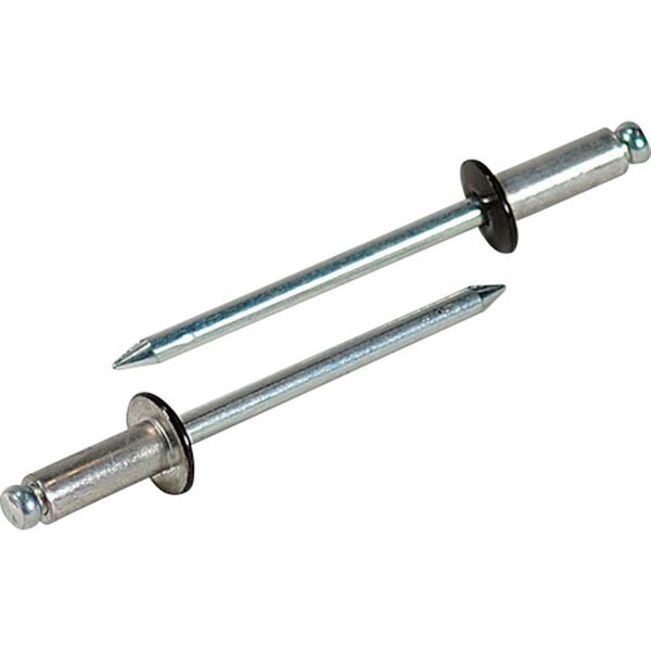 【メーカー在庫あり】 (株)ロブテックス エビ カラーリベット ブロンズ 5-3 (1000本入) CNSA53BR JP店