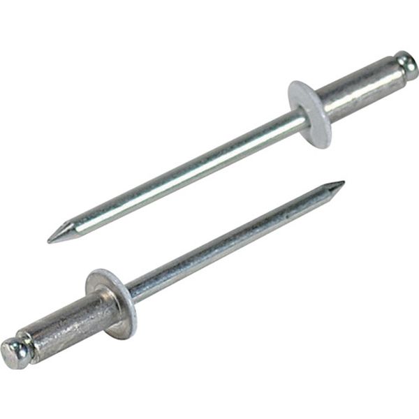 【メーカー在庫あり】 (株)ロブテックス エビ カラーリベット ホワイト 5-4 (1000本入) CNSA54W JP店