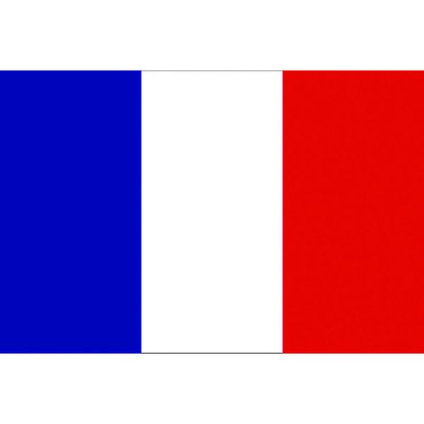 【メーカー在庫あり】 東京製旗(株) 東京製旗 国旗No.1(70×105cm) フランス 416647 JP店